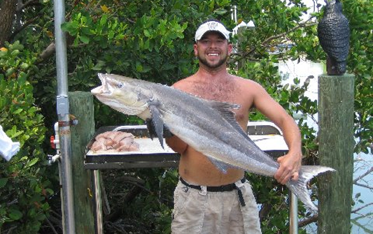 Big Cobia