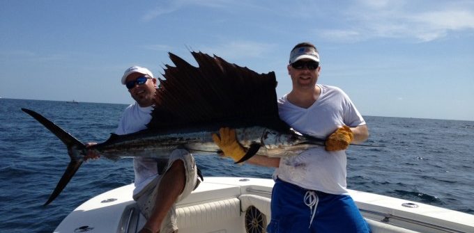 Sailfish off Ft Lauderdale