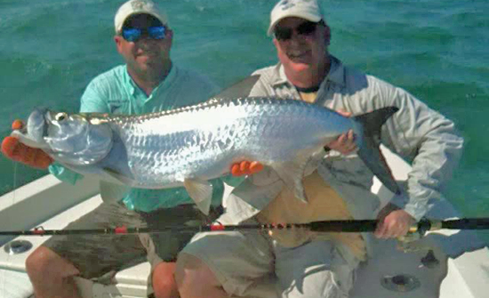 Another tarpon caught