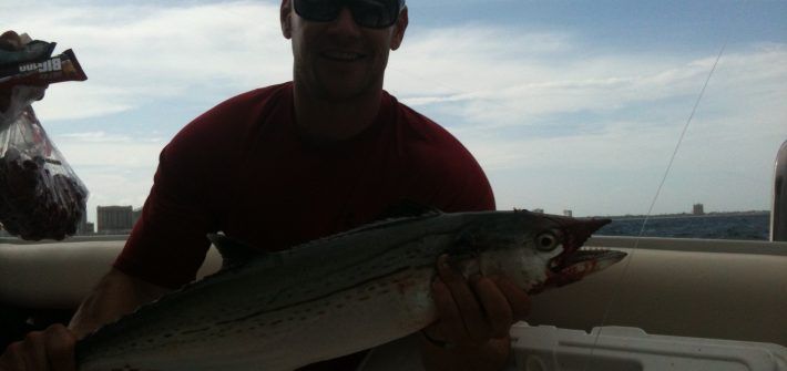 Cero Mackerel off Fort Lauderdale