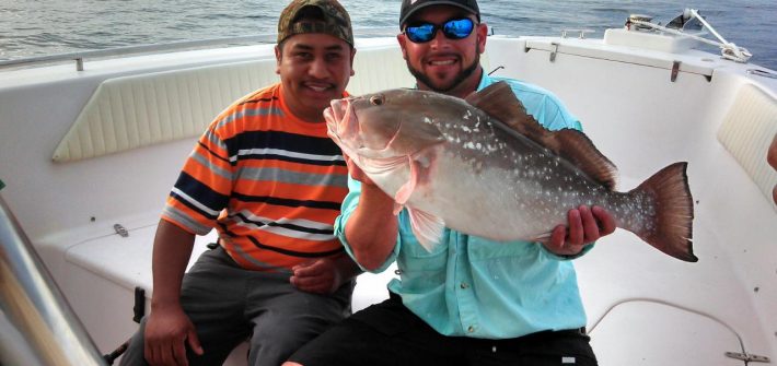 Big red grouper caught off Marathon in the Keys this morning.