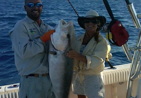 Amberjack caught on a wreck off Marathon in the Fl Keys. Come book your charter today.