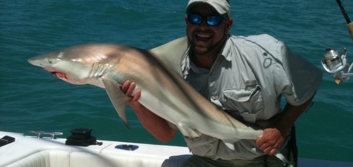 Blacktip shark caught a bayside wreck off Marathon. Come book your trip today.