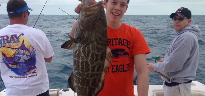 Clay’s black grouper. Clay was visiting from Arkansas and was thrilled to land this black grouper.