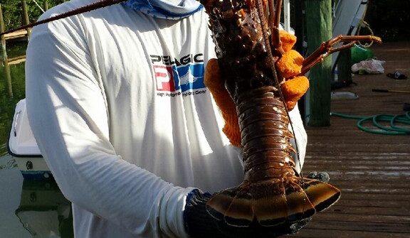 Lobster charter off Marathon Fl Key. Call Capt. Doug and ask him about a lobster and fishing charter.