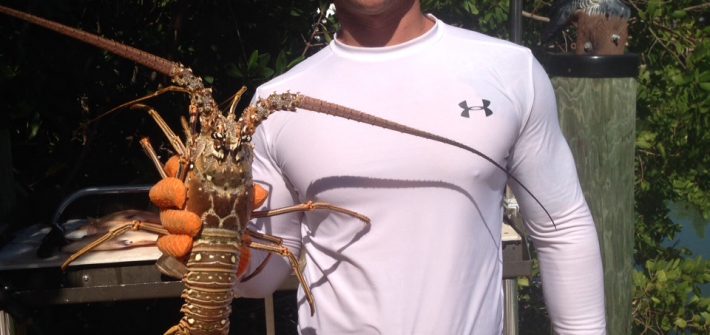 Spearfishing charter off Marathon produces lobster nice lobster. The Fl Keys offer many different opportunites on the water.