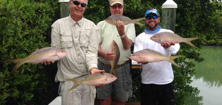 Big yellowtails made for a great day on the reef off Marathon in the Fl Keys.