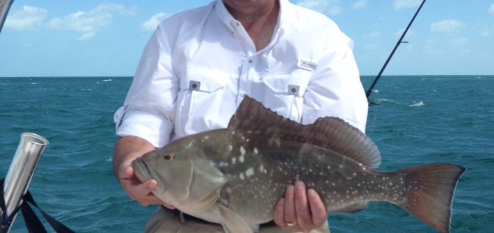 Red grouper season is almost here! Come book a fishing charter with us off Marathon in the Fl Keys