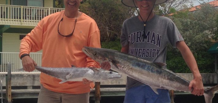 Kingfish makes todays wreck fishing charter a blast off Marathon in the beatiful Fl Keys!