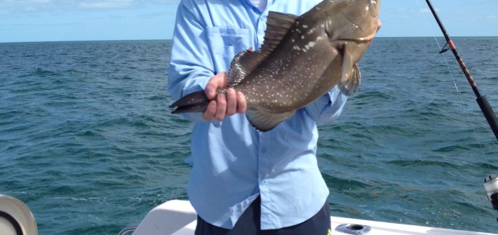 Jason’s red grouper was great on light tackle!