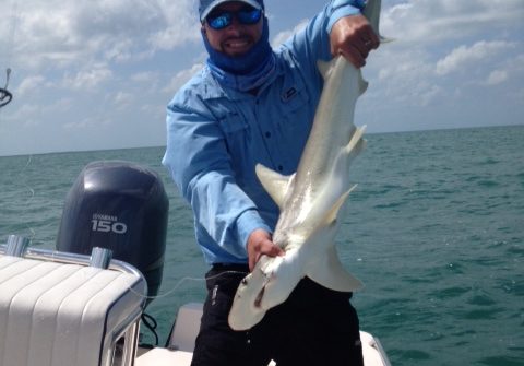 Tarpon fishing charter at the world famous “Seven Mile Bridge” in the Fl Keys is productive. Call Capt. Doug soon so you don’t miss out on the tarpon action!