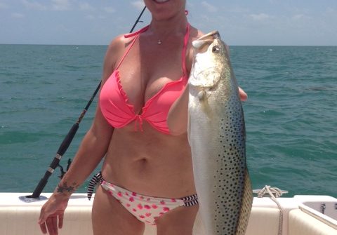 Melissa caught this monster sea trout while fishing in the bay off Marathon, charter fishing at its best.