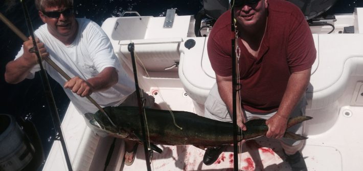 Dolphin fishing charter off Marathon in the Fl Keys.