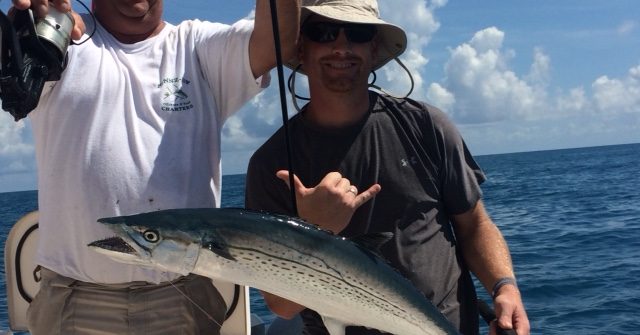 Cero mackerel caught fishing the reef of Marathon in the Fl Keys. Reef charters offer a wide variety.