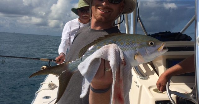 Flag yellowtail caught on a 3/4 day reef charter off Marathon in the Fl Keys.