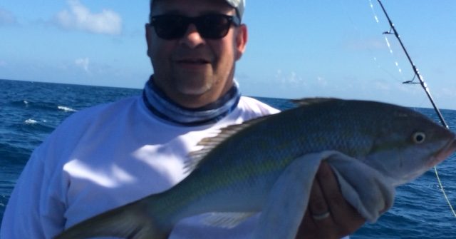 Huge yellowtail snapper caught off Marathon during a reef charter.