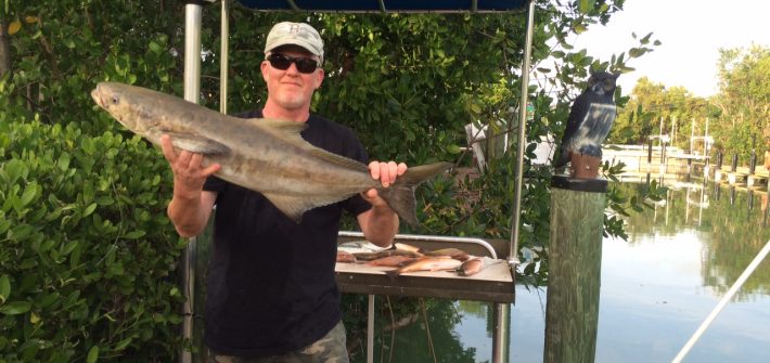 Bryan caught his cobia fishing a Gulf wreck off Marathon in the Fl Keys. Come book your next fishing charter with Capt. Doug.