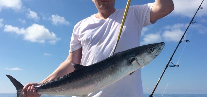 Matt caught this kingfish on a flat line on a 3/4 charter off Marathon in the Fl Keys