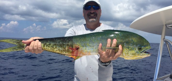 Gregory’s gaffer dolphin caught on a offshore fishing charter off Marathon.