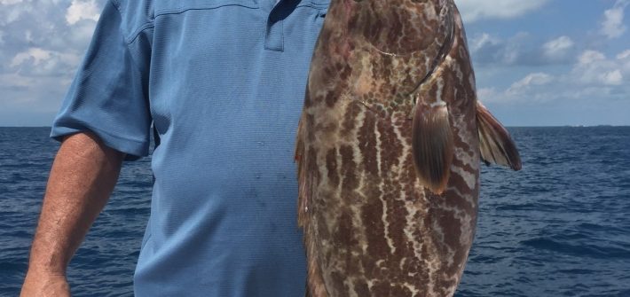 Joe caught this black grouper off Marathon on a 3/4 wreck fishing charter.