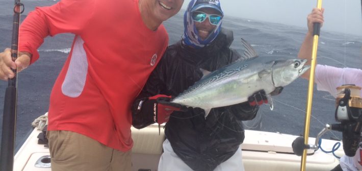 This member of the tuna family showed up on our charter last week off Marathon in the Fl Keys.