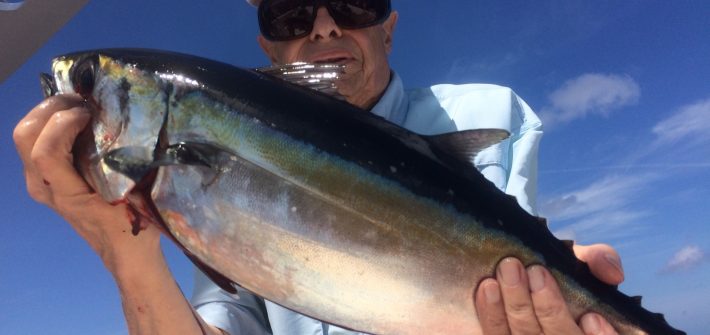 marathon florida fishing charter Archives - Captain Doug Kelley