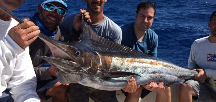 We landed this beautiful blue marlin off Marathon last Sunday. What a great way to start the day!