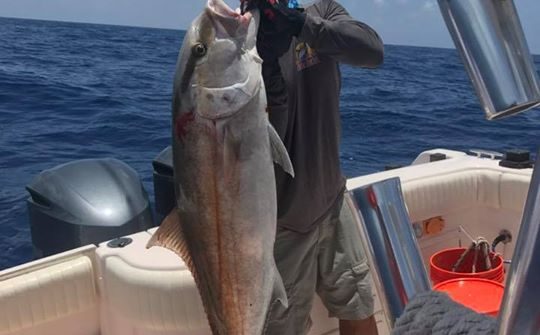 Big amberjack for my clients today.