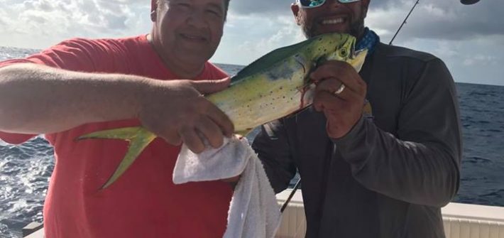 Catching small (chicken size) dolphin while yellowtail fishing today. Released 4…