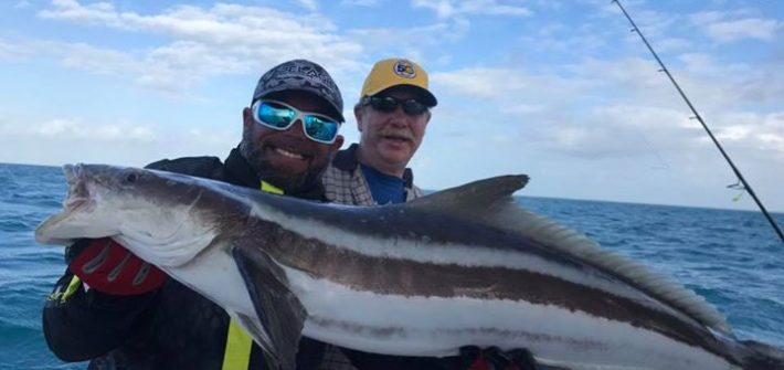 Fat cobia to start the day!!