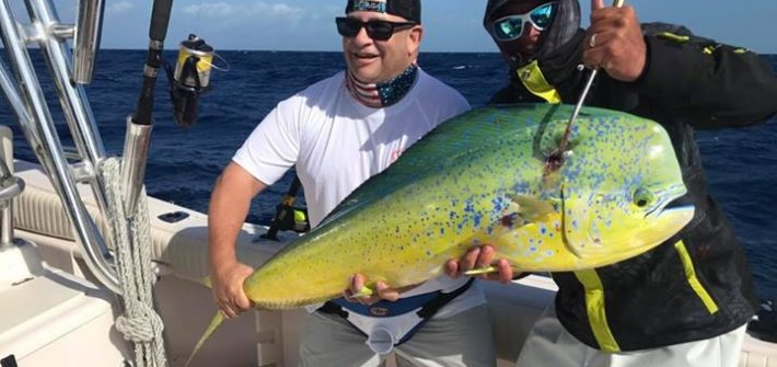 Few nice mahi from the bull n cow tourney today. More fish for tomorrow still!

…