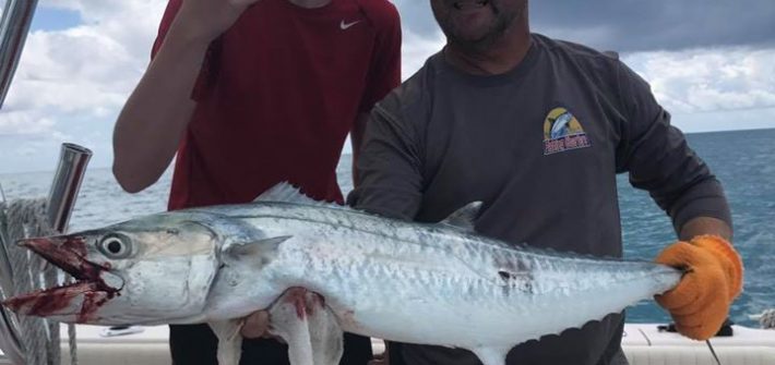 Few pictures from today’s trip. Nice kingfish and blacktip shark. Blacktip shark…