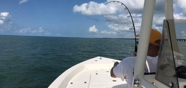 Hooked up on a tarpon. Got the release too!