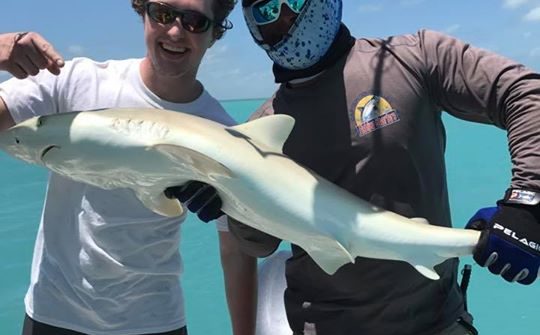 Lemon shark from this mornings trip.