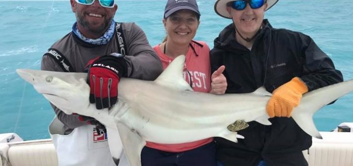 Nice blacktip shark from this mornings trip!