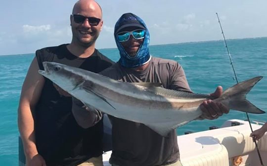 Nice cobia to start the day!