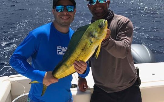 Nice offshore trip caught dolphin and some nice yellowtails. Also kingfish that …