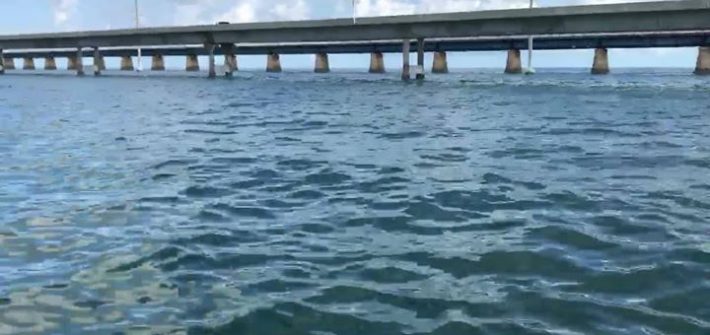 Tarpon action today. Lots of video more to come.