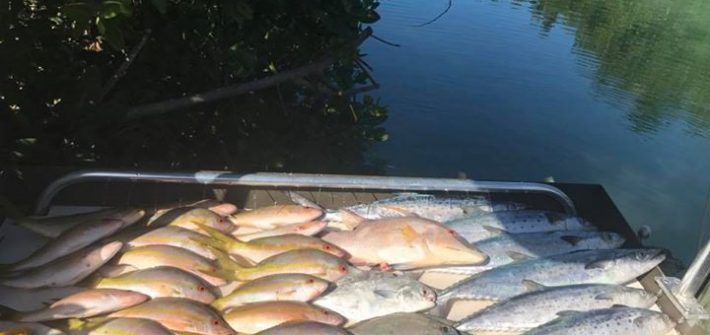 Today’s catch on the reef and patch reef.