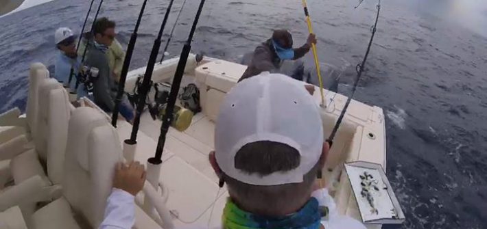 Video of our wahoo coming to the boat!