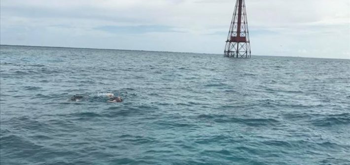 Snorkeling at sombrero light house.  Nice way to breaking up a day of fishing. W…