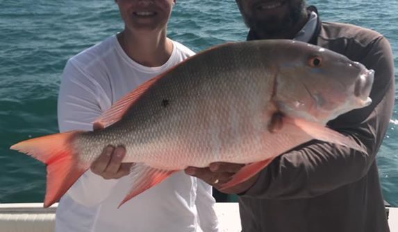 Nice mutton snapper to add to the fish box! Good eats tonight.