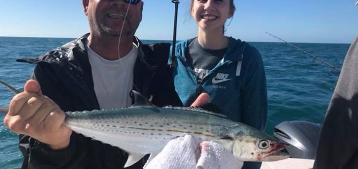 Cero mackerel to add to the box.