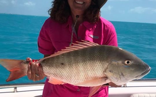 Few more pics from one of our charters today. Solid day on the reef!