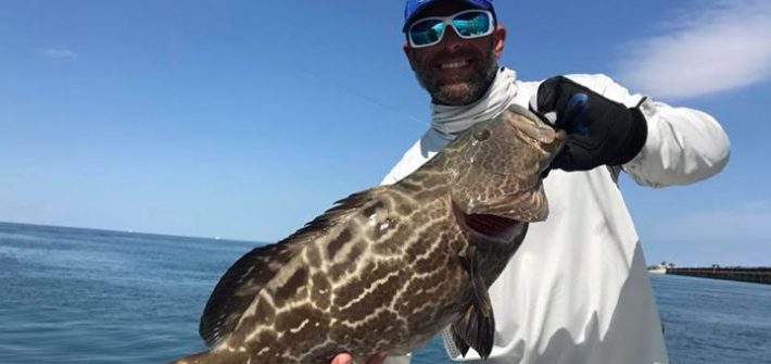 Black grouper released tarpon fishing the Seven Mile bridge.