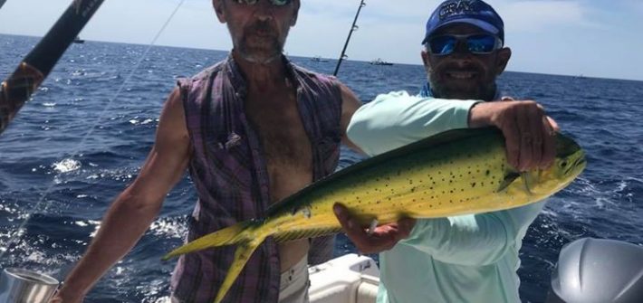 Dinner caught on Hooked Up II with Capt Doug. Dolphin are just starting to show …