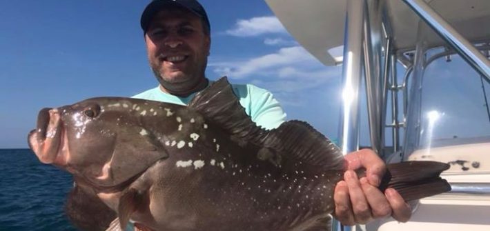 Nice red grouper released after a quick picture.