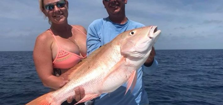 Nice mutton snapper along with a box full of yellowtails!