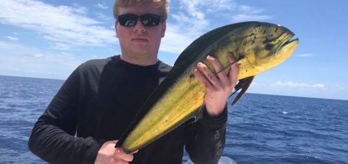 Few mahi from today’s offshore trip!