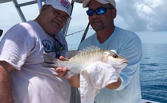 Few pics from our half day reef trip. More to follow. Capt Roy put them on the f…